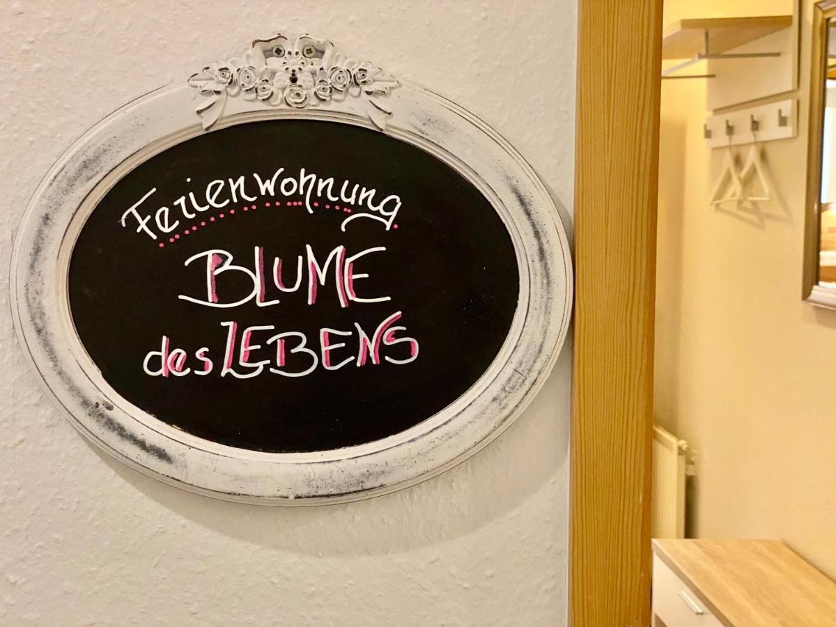 Gesundheitshof Denker Apartman Reußenköge Kültér fotó